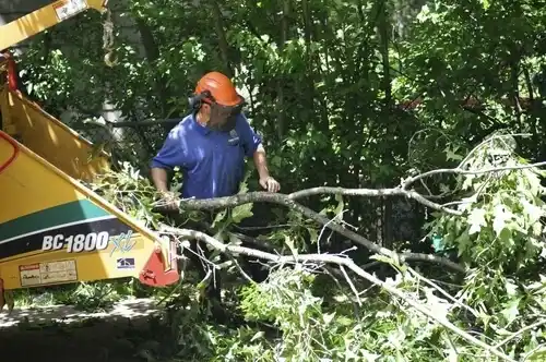 tree services Liberal
